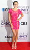 th_23079_Lea_Michele_39th_Annual_Peoples_Choice_Awards_in_LA_January_9_2013_146_122_1057lo.jpg